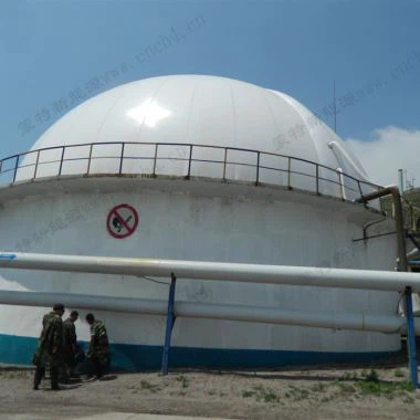 Dammsugare för biomassagasin